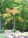 05102008 152511IMG1855